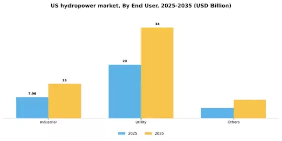US Hydropower Market Segment Image 2