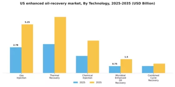 US Enhanced Oil Recovery Market Segment Image 3