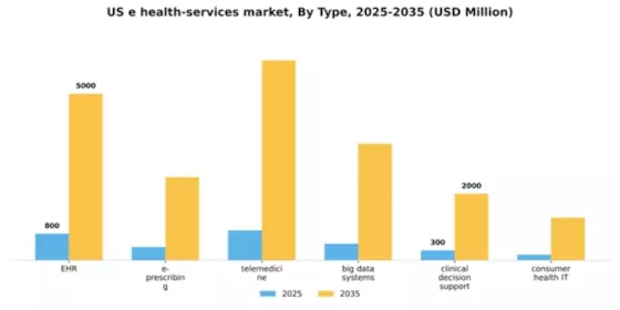 US E-Health Services Market Segment Image 2