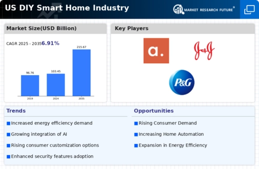 US DIY Smart Home Market Infographic