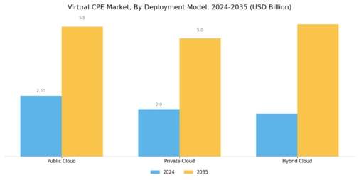 Virtual CPE Market Segment Image 1