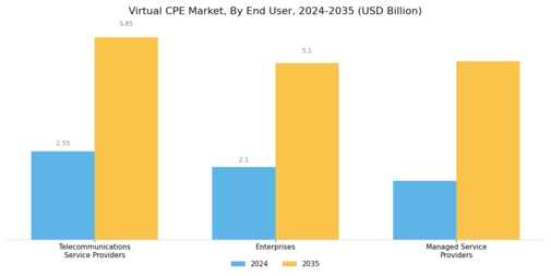 Virtual CPE Market Segment Image 2