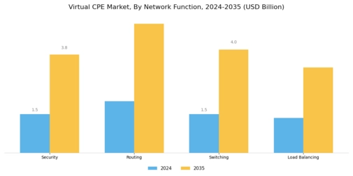 Virtual CPE Market Segment Image 3