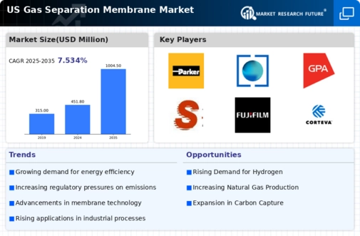 US Gas Separation Membrane Market Infographic