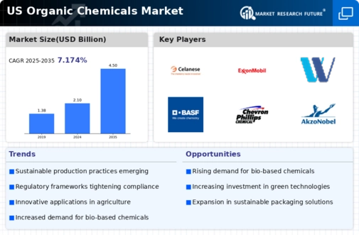 US Organic Chemicals Market Infographic