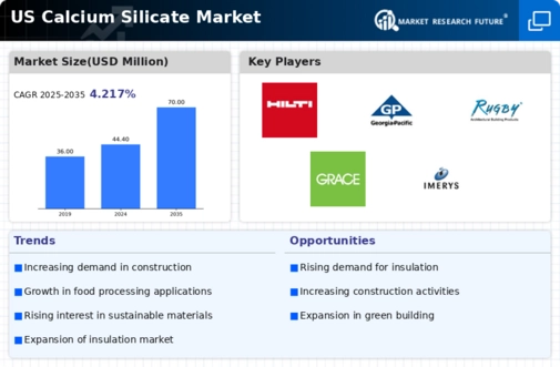US Active Calcium Silicate Market Infographic