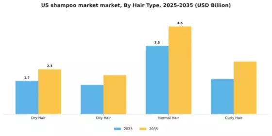US Shampoo Market Segment Image 1