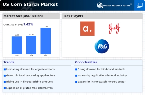 US Corn Starch Market Infographic