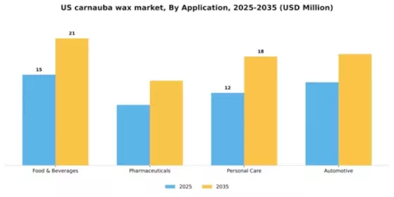 US Carnauba Wax Market Segment Image 0