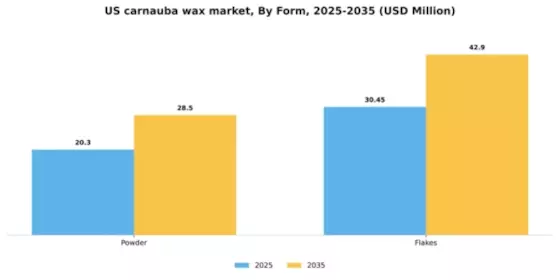 US Carnauba Wax Market Segment Image 1