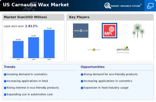 US Carnauba Wax Market Infographic
