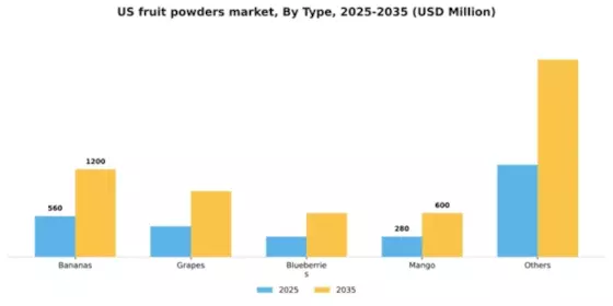 US Fruit Powders Market Segment Image 1