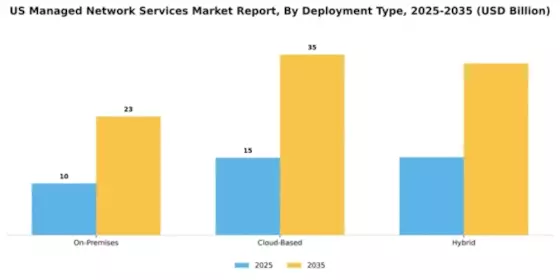 US Managed Network Services Market Segment Image 0