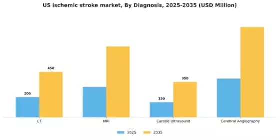 US Ischemic Stroke Market Segment Image 0