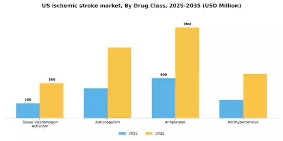 US Ischemic Stroke Market Segment Image 1