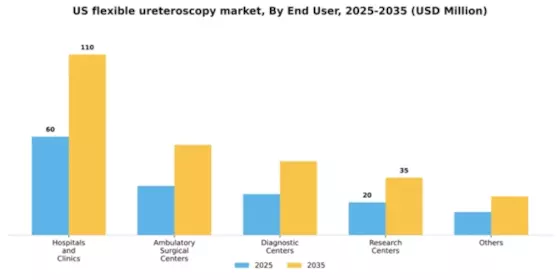 US Flexible Semi-rigid Ureteroscopy Market Segment Image 1