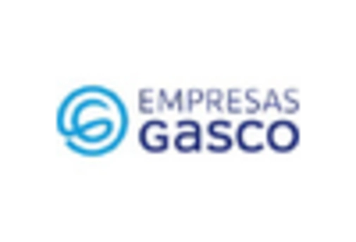 US Medical Gases and Equipment Market key player