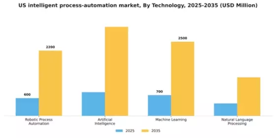 US Intelligent Process Automation Market Segment Image 3