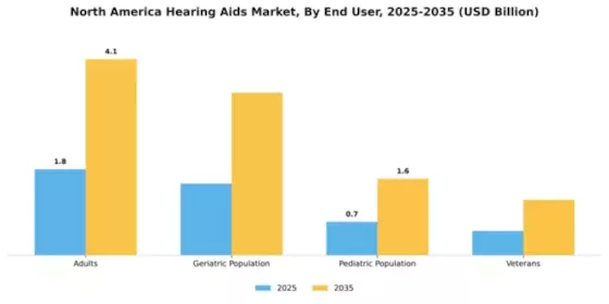 North America Hearing Aid Market Segment Image 1