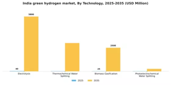 India Green Hydrogen Market Segment Image 3