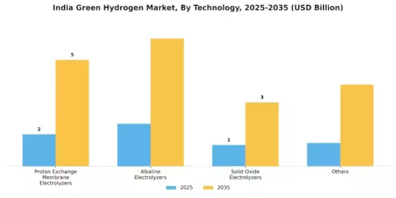 India Green Hydrogen Market Segment Image 0