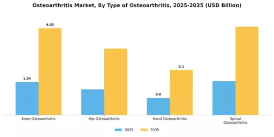 Osteoarthritis Market Segment Image 3