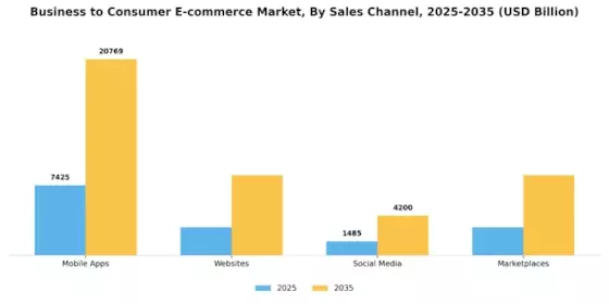 Business-to-Consumer E-commerce Market Segment Image 1