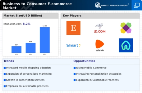 Business-to-Consumer E-commerce Market Infographic