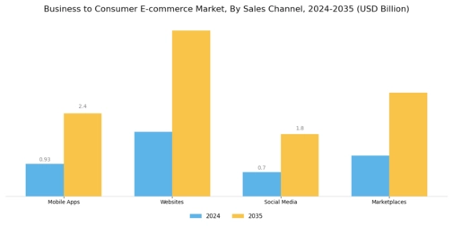 Business-to-Consumer E-commerce Market Segment Image 1