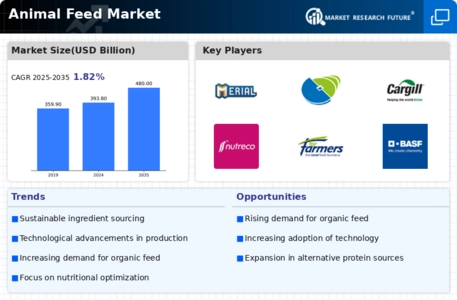 Animal Feed Market Infographic