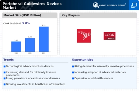 Peripheral Guidewires Devices Market Infographic