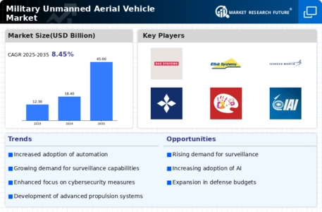 Military Unmanned Aerial Vehicle Market Infographic
