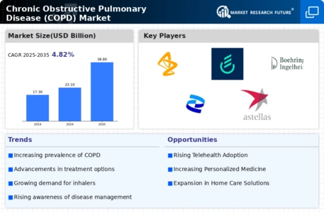 Chronic Obstructive Pulmonary Disease (COPD) Market Infographic