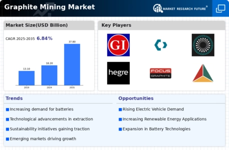 Graphite Mining Market Infographic