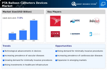 PTA Balloon Catheters Devices Market Infographic