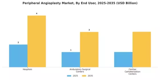 Peripheral Angioplasty Market Segment Image 1