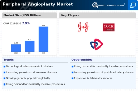 Peripheral Angioplasty Market Infographic
