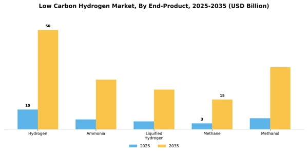 Low Carbon Hydrogen Market Segment Image 0