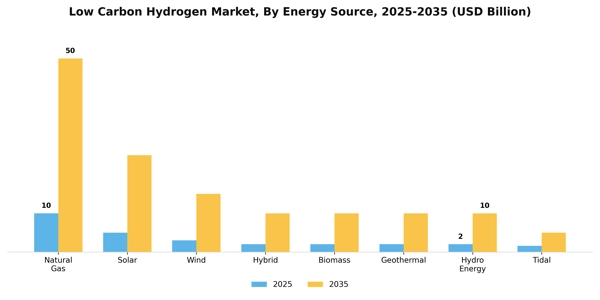 Low Carbon Hydrogen Market Segment Image 1
