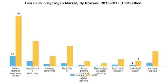Low Carbon Hydrogen Market Segment Image 0