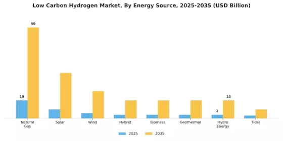 Low Carbon Hydrogen Market Segment Image 1
