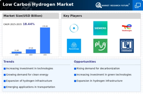 Low Carbon Hydrogen Market Infographic