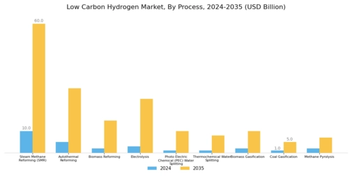 Low Carbon Hydrogen Market Segment Image 0
