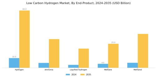 Low Carbon Hydrogen Market Segment Image 2