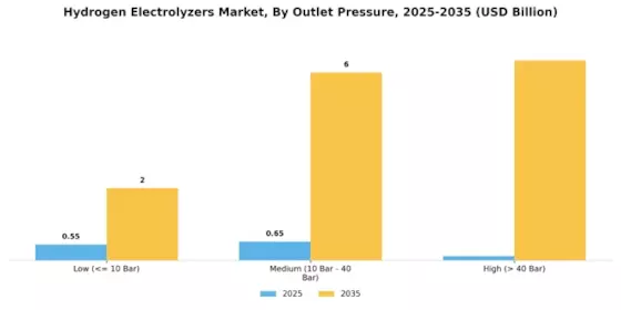Hydrogen Electrolyzer Market Segment Image 2