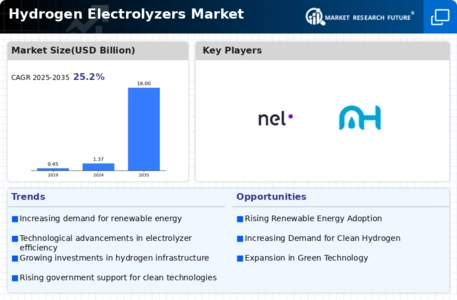 Hydrogen Electrolyzer Market Infographic