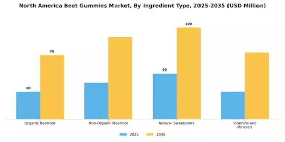 North America Beet Gummies Market Segment Image 3