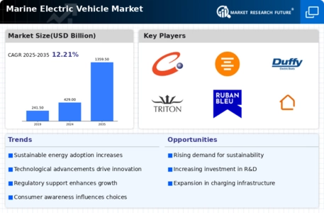 Marine Electric Vehicles Market Infographic