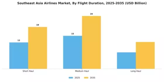 Southeast Asia Airlines Market Segment Image 1
