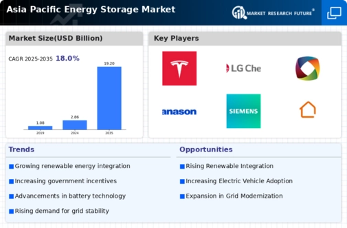 Asia Pacific Energy Storage Market Infographic